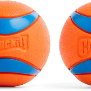 Chuckit! Ultra Ball Dog Toy - Medium Bouncy Fetch Balls For Dogs 20-60 lbs - Made from Durable Rubber